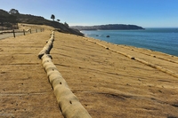Geotextil de fibra de coco duradero: alfombrilla de control de erosión de fibra de coco ecológica para paisajismo, construcción de carreteras, estabilización del suelo