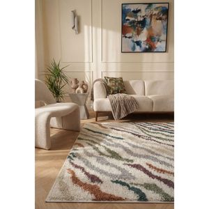 Netline Home Moodi Plush Shaggy Multicolour Rectangle <b>Rug</b> for Living Room Bedroom & <b>Hallway</b> - Product Image 2