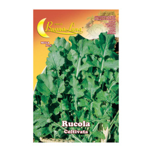 Rucola cultivée semi-orthogonale - Product Image 1