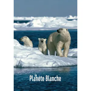 Póster Moderno del Planeta Blanco para Decoración de Pared - Product Image 1