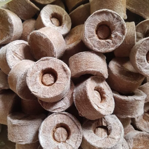 Granulés de coco Eco Coco pour le démarrage des semences et la propagation des plantes | Milieu de culture biologique exportation du Vietnam - Product Image 2