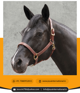 Motif équestre cheval licou Premium triple couture licou cuir cheval licous à vendre plié multifonctionnel - Product Image 5