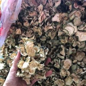 Melón de Invierno Seco Orgánico |   Melón de Invierno Deshidratado para Alimentos y Bebidas Funcionales |   Ingrediente Natural - Product Image 5