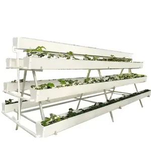 Hochwertiger landwirtschaftlicher Tomatenanbau PVC Gewächshaus Erdbeere hydroponisches Anbau-Rack