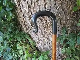 Bastón de cuerno de búfalo de alta calidad Eje de madera pulido Bastón de soporte para exteriores - Product Image 5