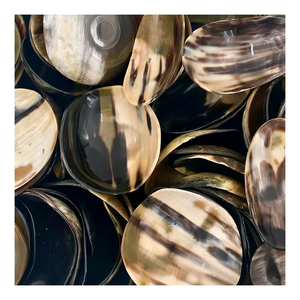 Meilleur bol à salade en corne de buffle naturelle de qualité supérieure servant un bol en corne de fruits pour décorer la cuisine de la maison avec de l'Inde - Product Image 1