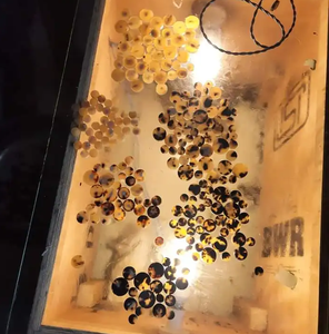 Boutons en corne de bœuf de couleur unie en gros pour la fabrication de vêtements, accessoires de couture, approvisionnement en vrac auprès d'un exportateur d'usine - Product Image 1