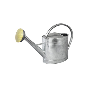Bidon d'eau en fer galvanisé, arrosoir de haute qualité à l'aspect noir solide sans rouille avec design personnalisé - Product Image 1