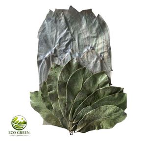 Feuilles de corossol bio séchées en gros, feuilles de Graviola de qualité supérieure pour tisane, emballage personnalisé, fournisseur Vietnamien - Product Image 4