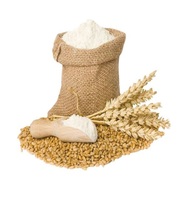Farine de blé abordable à vendre, farine de blé de qualité supérieure pour la vente au détail et à usage commercial, emballage en vrac disponible dans le monde entier