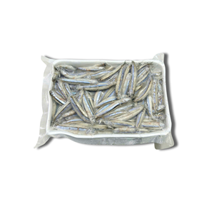 Anchois bleus entiers surgelés IQF/BQF, emballage sous vide, vente en gros, vente en vrac, durée de conservation de 24 mois - Product Image 2