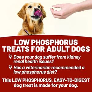 Golosinas Masticables Suaves para Perros de Marca Privada OEM/ODM, Promueven el Crecimiento, Suplemento para Cadera y Articulaciones para Mascotas, Suplemento Masticable para Articulaciones de Perros OEM - Product Image 5