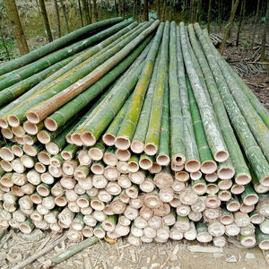 Raw Material <b>Bamboo</b> Poles/ <b>Canes</b>/ Stakes/ Sticks <b>Bamboo</b> Poles Use for Agriculture, Decoration and Construction - Product Image 4