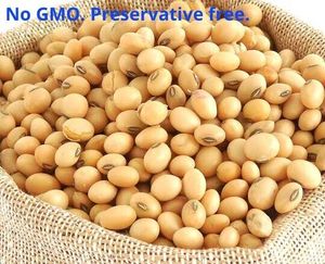 Vente en gros de soja frais américain biologique sans OGM-Durée de conservation de 12 mois - Product Image 2