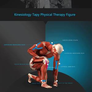Vente en gros de ruban adhésif élastique pour la physiothérapie du genou, ruban adhésif musculaire athlétique, ruban de kinésiologie pré-coupé pour le sport - Product Image 2