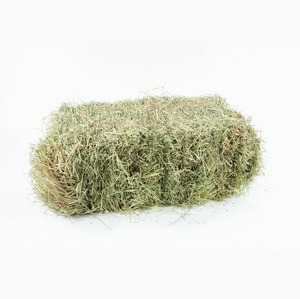 Vente en gros de foin de luzerne pour l'alimentation animale au prix de gros à vendre - Product Image 6