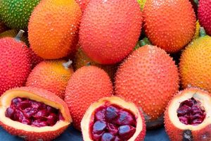 Momordica cochinensis สีแดงเนื้อผลไม้ GAC แช่แข็งแบบไม่มีเมล็ด - Product Image 4