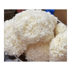 Hongo de Nieve Seco, Tremella fuciformis Limpia para Cocinar Hotpot, Aderezos para Ensaladas e Ingrediente Culinario, Exportación de Vietnam - Product Image 6