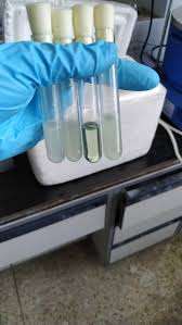 Synthèse chimique organique de poudre d'anthrone Produits chimiques inorganiques à forte demande Fabricant indien de gros Développement de la recherche - Product Image 3