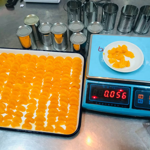 Orange mandarine fraîche en boîte/étain disponible avec le meilleur prix de haute qualité 2025 - Product Image 5