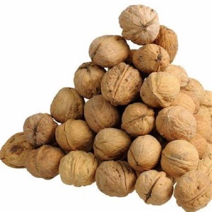 วอลนัทปอกเปลือกสด คุณภาพพรีเมียม สำหรับส่งออกจำนวนมาก - Product Image 1