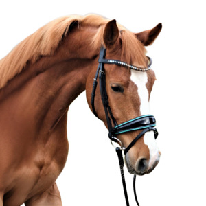 Brida de doma de cuero negro con tubería turquesa, banda para cejas brillante de doble tono y accesorio de Flash, brida para caballete - Product Image 1