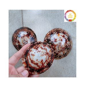 Gobelet à vin en coquille naturelle personnalisé pour la décoration de mariage de plage et les idées de service de cocktails exotiques - Product Image 4