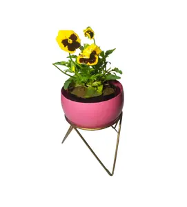 wholesale supplier mini planter for Flowers Farmhouse garden Decoration plant stand metal pots