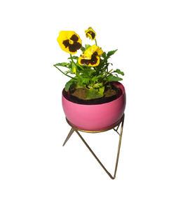 Mini jardinière en métal magnifiquement conçue pour la maison support de jardin décoratif pour fleurs Pot de style ferme pour anniversaire - Product Image 1