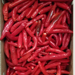 Meilleur prix Bird's Eye Chili. fournisseur en 2022 dans le sac - Product Image 3