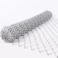 Maille de chaîne tissée antiseptique 50 mm Diamant Fil de fer galvanisé à chaud Convient pour la protection des fermes et des vergers