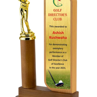Trophée de golf personnalisé en verre et cristal de qualité supérieure pour homme, avec gravure de balle de golf miniature et impression par découpe – Trophées durables et polis