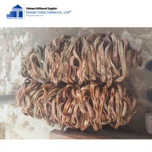 Hot Deal Twisted Vines Driftwood para acuario Driftwood Decoraciones para el hogar al por mayor Hecho en Vietnam - Product Image 6