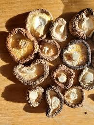 SETAS SHIITAKE SECADAS PREMIUM/FRESCAS Y AL MEJOR PRECIO DE VIETNAM - Product Image 5