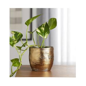 Jardinière décorative antique en métal avec détails en relief, parfaite pour la décoration intérieure traditionnelle d'une maison - Product Image 6