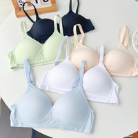 Soutien-Gorge Push-Up Plongeant en Satin à Col V pour Femmes, Sous-Vêtements Doux, Vente en Gros, Exportation vers les États-Unis et l'UE – Grande Promotion !