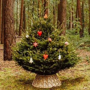 Tienphong กระโปรงต้นคริสมาสต์, สำหรับตกแต่งเป็นมิตรต่อสิ่งแวดล้อม - Product Image 3