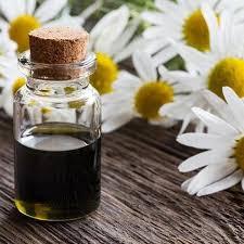 น้ำมันคาโมมายล์บริสุทธิ์จากอินเดีย100% น้ำมันคาโมมายล์บริสุทธิ์จาก100% โรมัน - Product Image 5