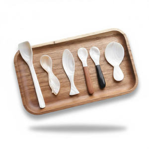 Cuillères en nacre de qualité supérieure, petites cuillères à caviar, ensemble de vaisselle durable en vrac pour les restaurants de fruits de mer, la restauration, les cadeaux - Product Image 2