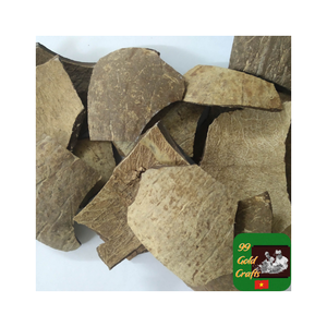 Oferta directa de fábrica, cáscara de coco para aplicaciones de carbón, trabajos artesanales artísticos y hermosa decoración al aire libre para el hogar en suministro - Product Image 5