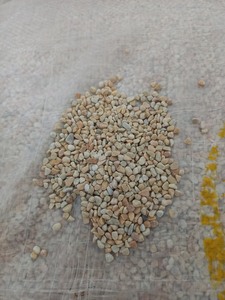 Vietnam Wholesale Top Quality Natural Pebble Stone Yellow Pebble for Decoration Exposed <b>Aggregate</b> Flooring Resin Tumbled Stone - Product Image 5