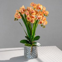 Orchidée Phalaenopsis artificielle réaliste faite à la main, plante en pot, fleur en soie blanche, pot en céramique, décoration de table pour la maison ou le bureau