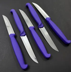 5 adet Yatagan yüksek kalite en iyi fiyat el yapımı plastik yeşil kolu meyve bıçağı mutfak bıçakları sebze fk1006