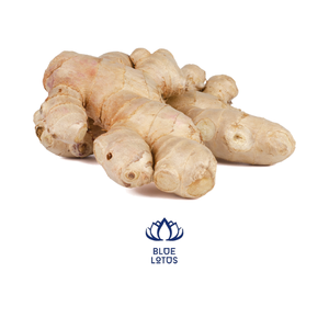 Gingembre frais du VIETNAM - Product Image 2