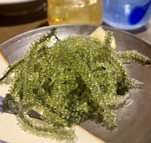 Raisins de mer de haute qualité, best-seller pour les aliments de BLUE LOTUS - Product Image 6