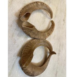Paire de cornes de mouton authentiques, cornes brutes naturelles pour la décoration et l'artisanat, haute qualité - Product Image 1