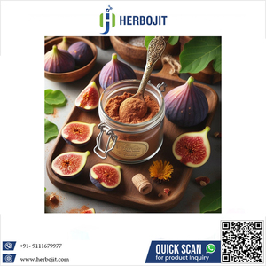 เฮอร์โบจิต อินเตอร์เนชั่นแนล ผู้จัดจำหน่ายจากอินเดีย ข้อเสนอที่ดีที่สุด ผงมะเดื่ออบแห้งแบบสเปรย์ 100% บริสุทธิ์จากธรรมชาติ คุณภาพเยี่ยม วัตถุเจือปนอาหารพร้อมใช้ - Product Image 6