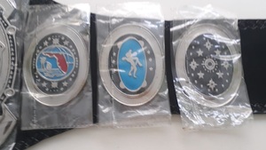 Cinturones de campeonato de lucha libre Trofeos Medallas y premios el símbolo definitivo de Victoria y excelencia Cinturones de Campeonato - Product Image 2