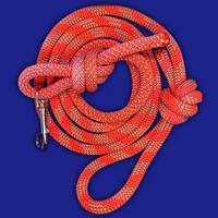 Laisse de luxe personnalisable pour chien corde d'escalade laisse à dégagement rapide pour animaux de compagnie avec décoration en dentelle solide