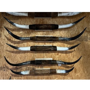 Decoración del hogar de cuerno largo para interiores de estilo occidental - Product Image 2